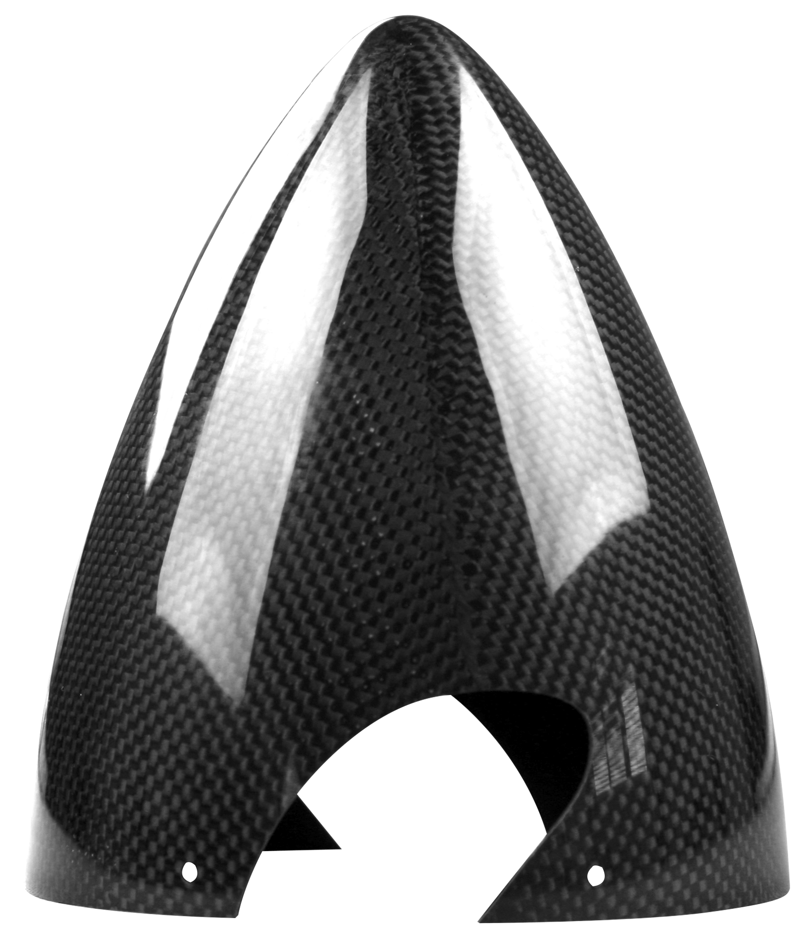 SGA1